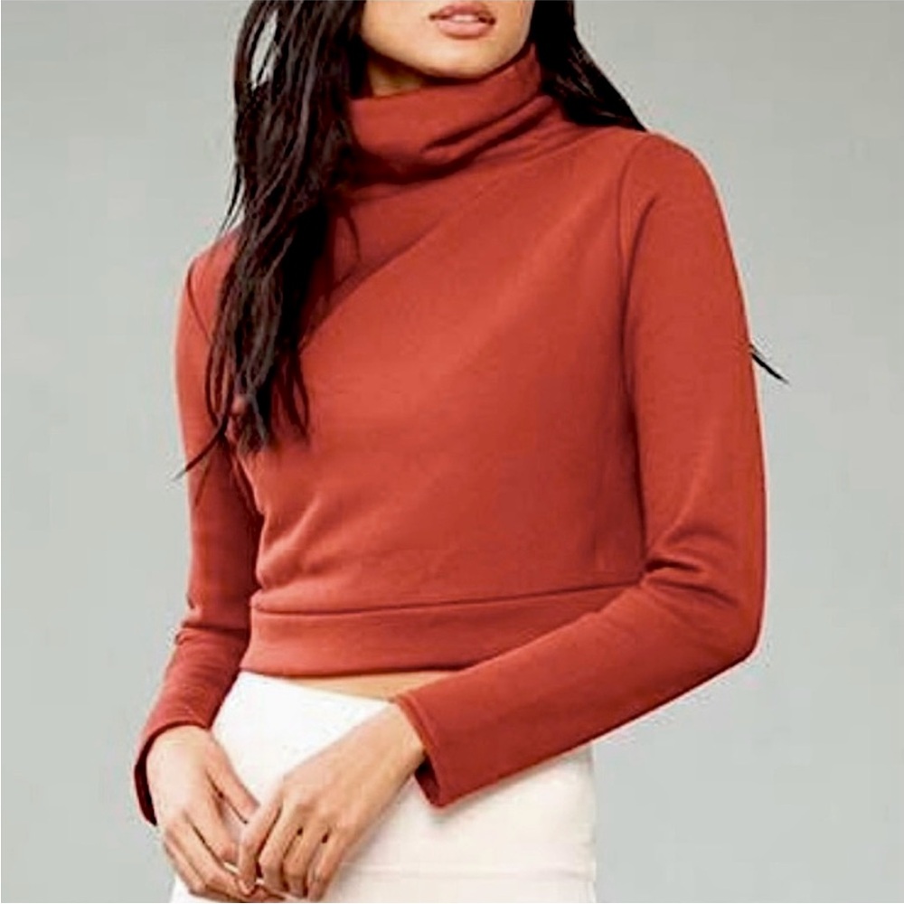 NWOT Alo Yoga Soleil Cropped Turtleneck